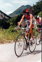 Nice 1993